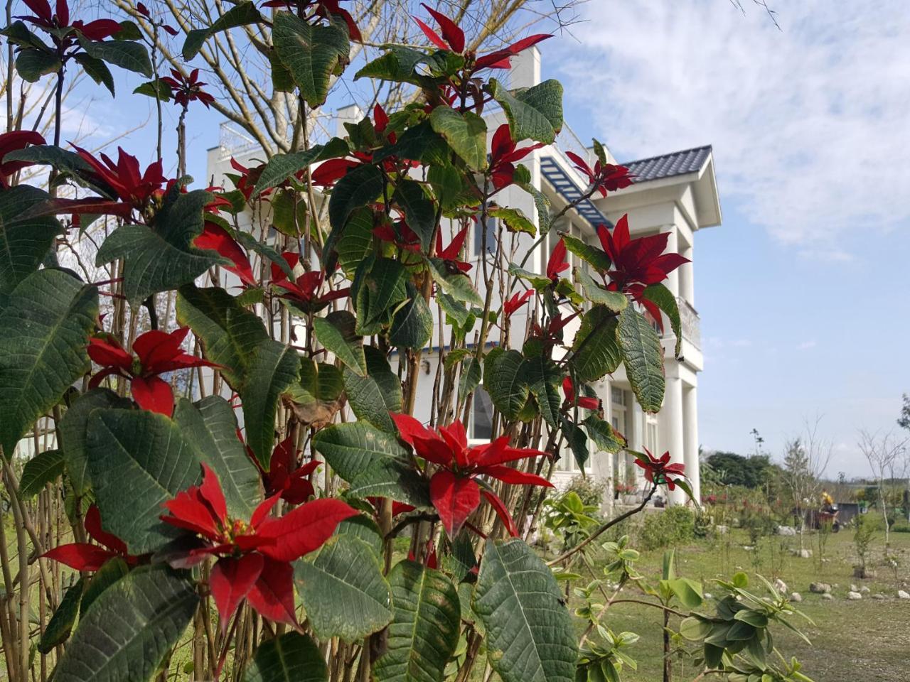 Yi Tian Homestay Fenglin Kültér fotó