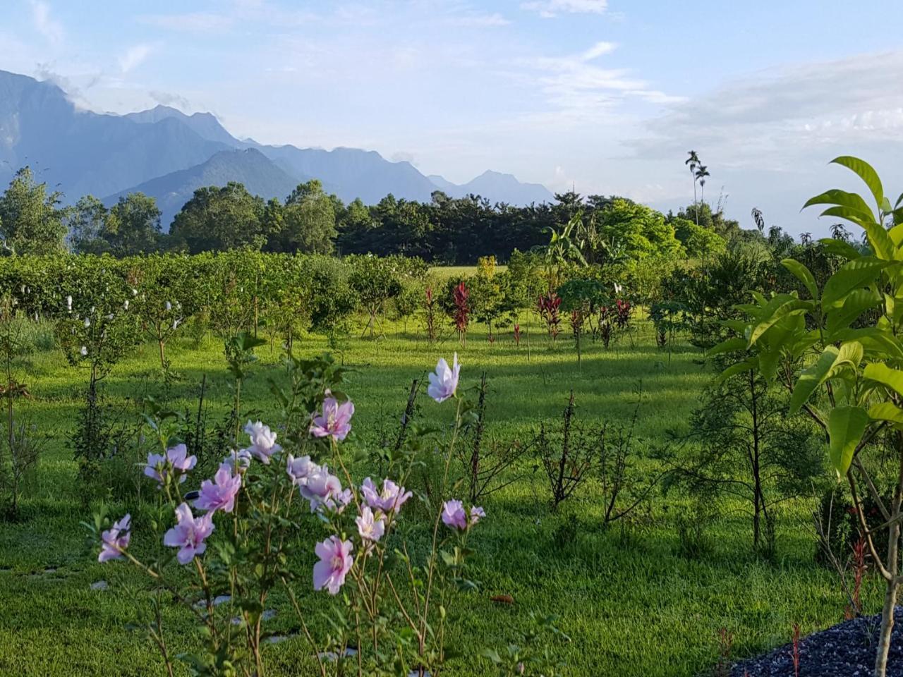 Yi Tian Homestay Fenglin Kültér fotó