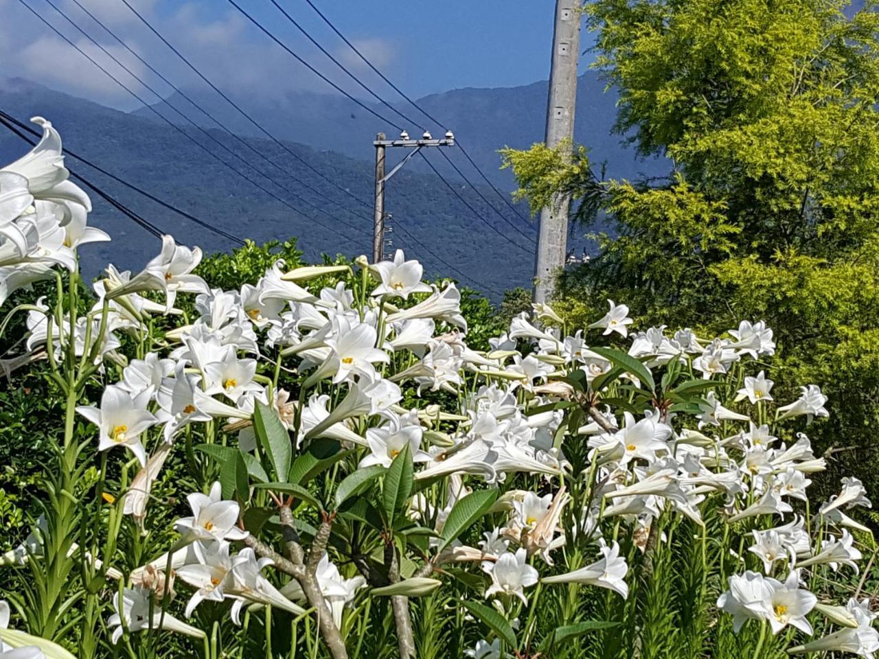 Yi Tian Homestay Fenglin Kültér fotó